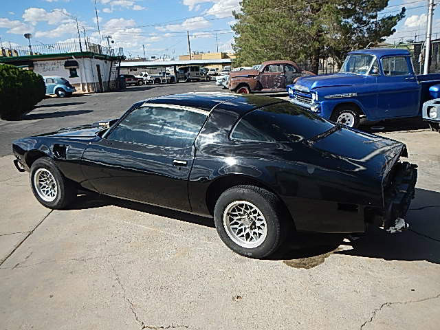 1979 Pontiac Trans Am Y84 SPECIAL EDITION - photo 5