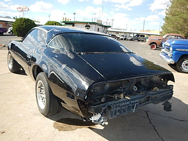 1979 Pontiac Trans Am Y84 SPECIAL EDITION - photo 6