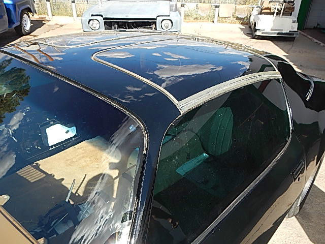 1979 Pontiac Trans Am Y84 SPECIAL EDITION - photo 9