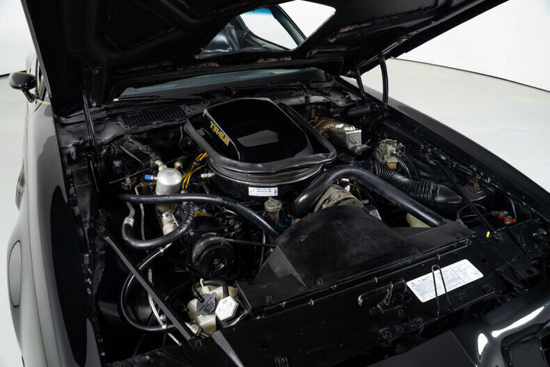 1979 Pontiac Trans Am Y84- Special Edition - photo 3