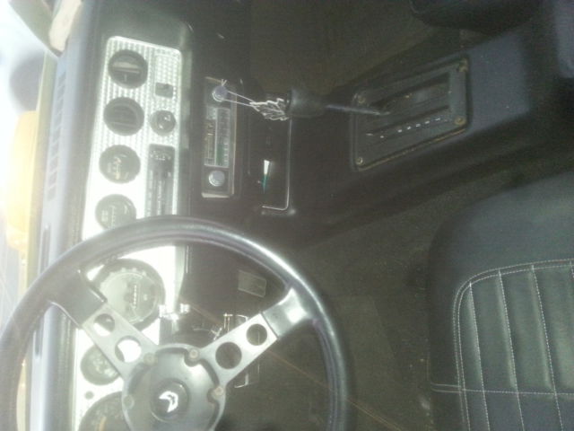 1979 Pontiac Trans Am Firebird T/A - photo 10