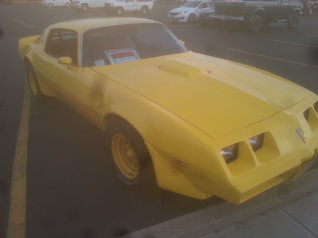 1979 Pontiac Trans Am Firebird T/A - photo 2