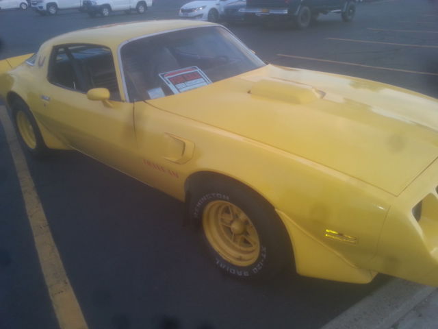 1979 Pontiac Trans Am Firebird T/A - photo 8