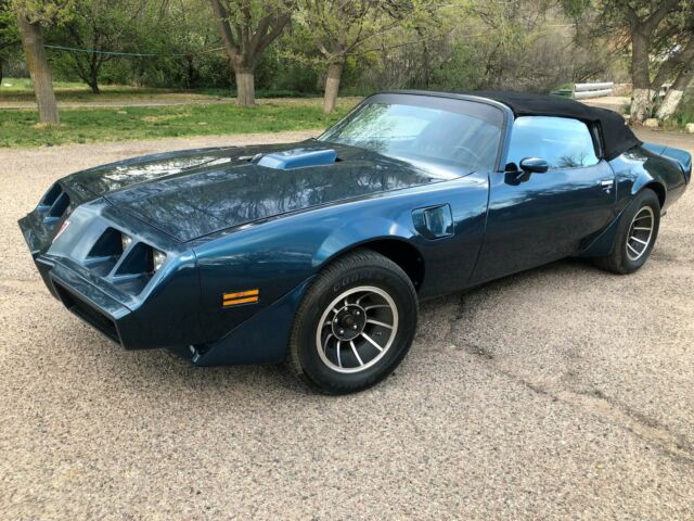 1979 Pontiac Trans Am - photo 12