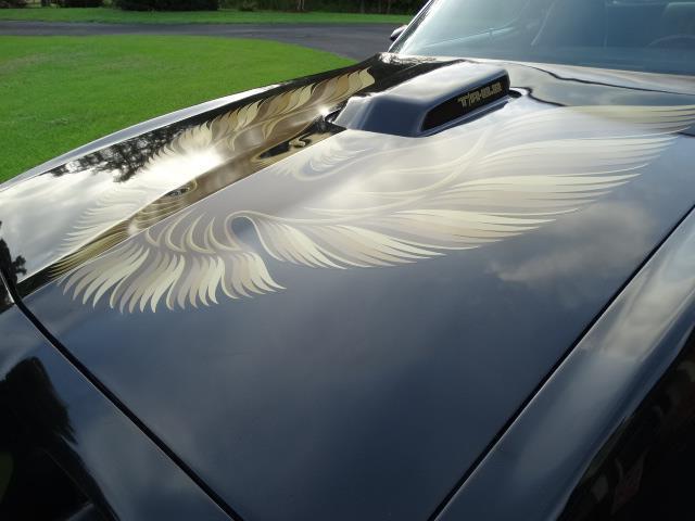 1979 Pontiac Trans Am -- - photo 7