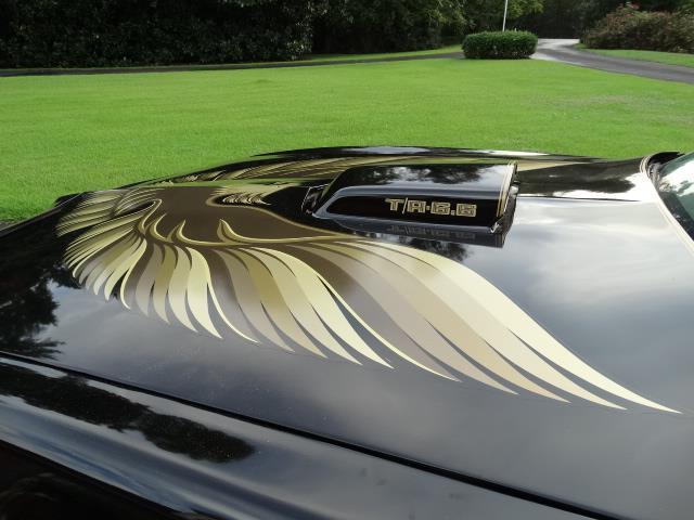 1979 Pontiac Trans Am -- - photo 9