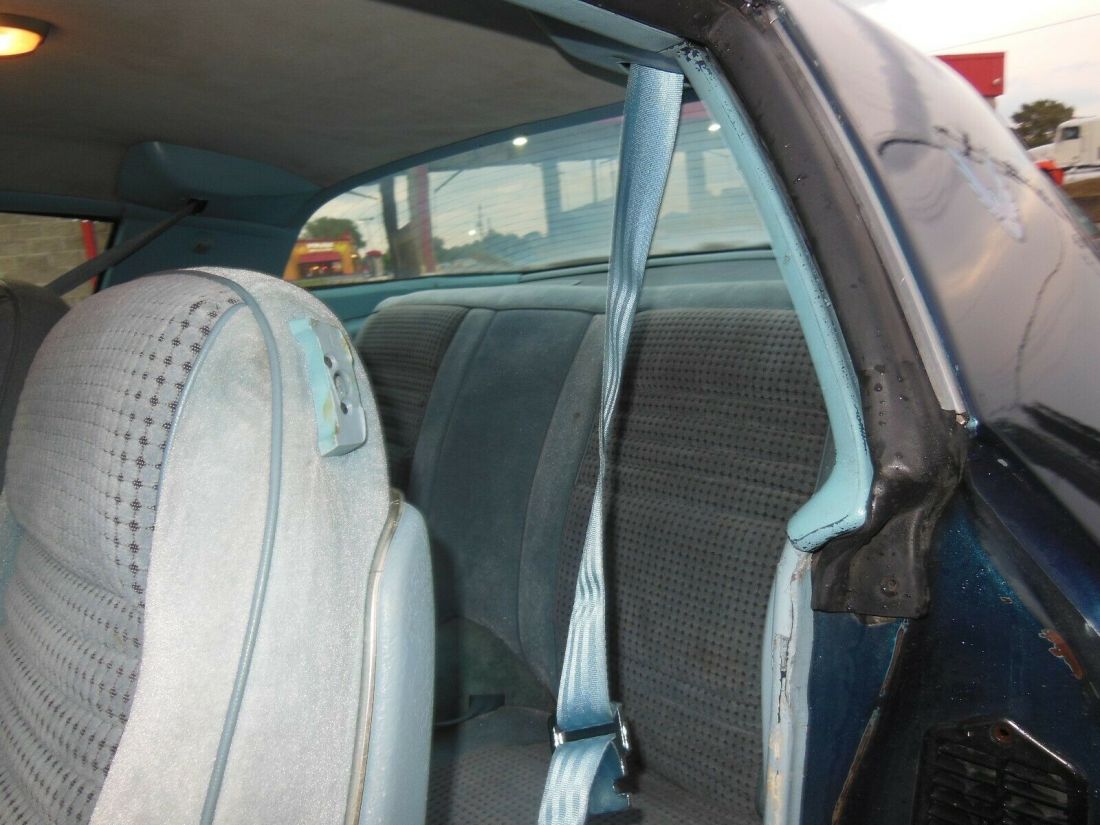 1979 Pontiac Trans Am Trans AM - photo 11
