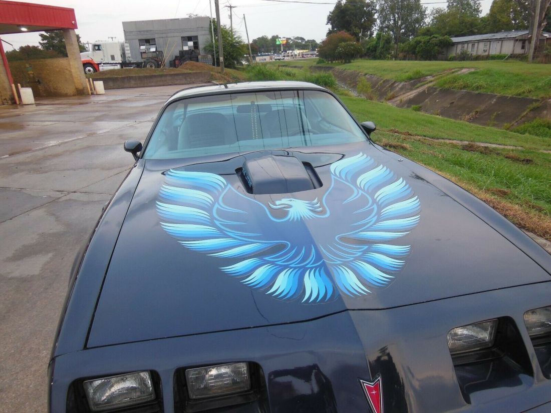 1979 Pontiac Trans Am Trans AM - photo 4