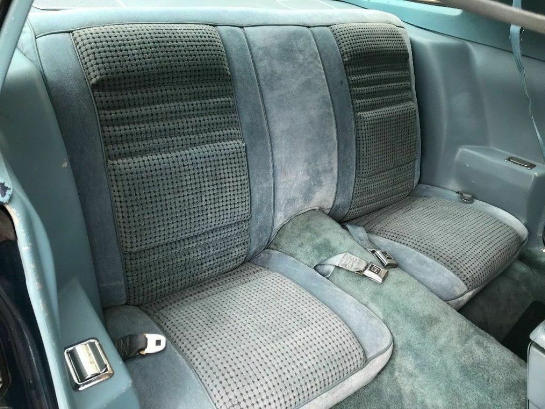 1979 Pontiac Trans Am Trans AM - photo 6