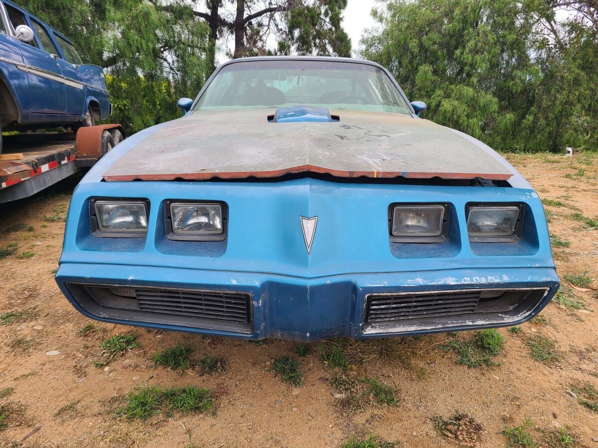 1979 Pontiac Trans Am - photo 6