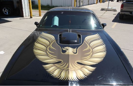 1979 PONTIAC TRANSAM BANDIT 1979 Pontiac Trans Am TRANSAM BANDIT EDITION