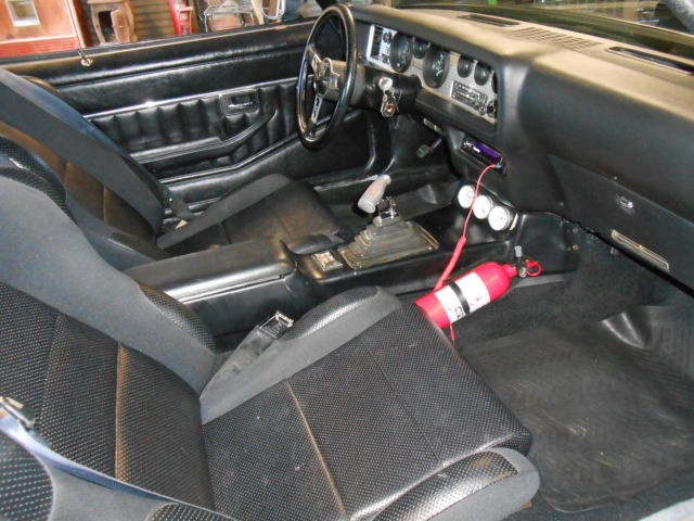 1979 Pontiac Trans Am - photo 6