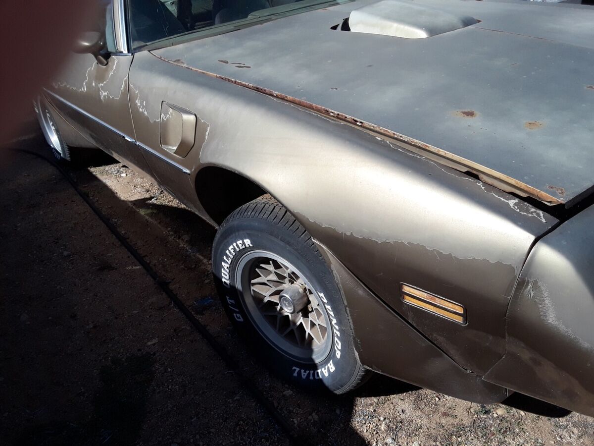 1979 Pontiac Trans Am - photo 13