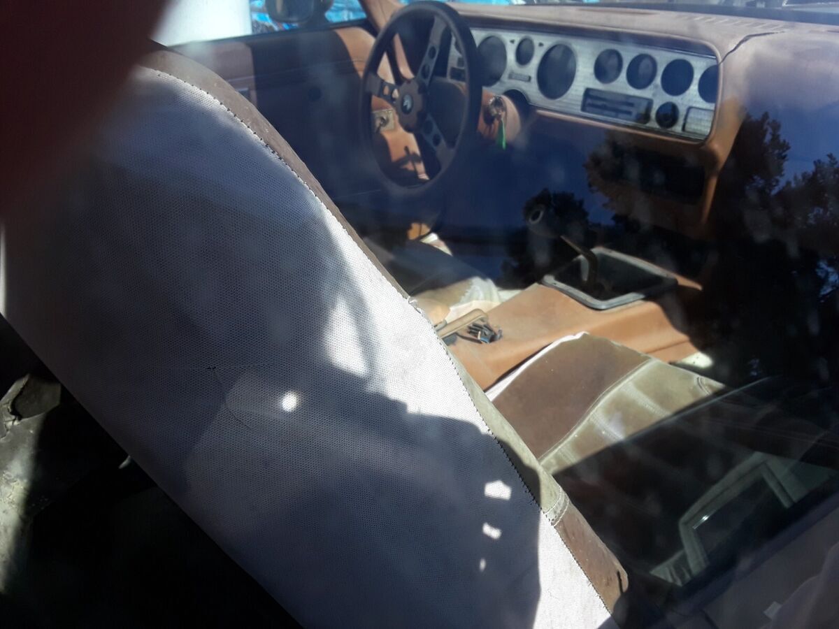 1979 Pontiac Trans Am - photo 2