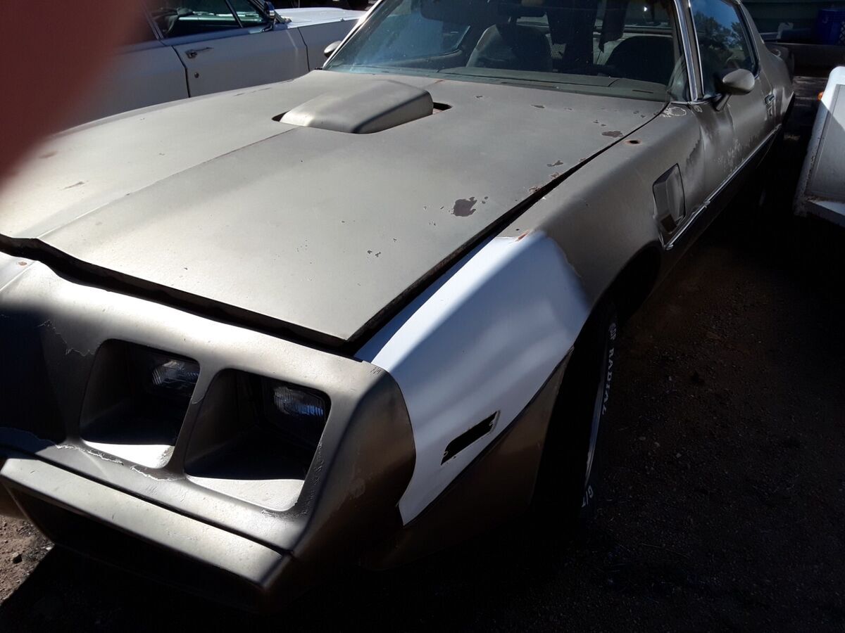 1979 Pontiac Trans Am - photo 3