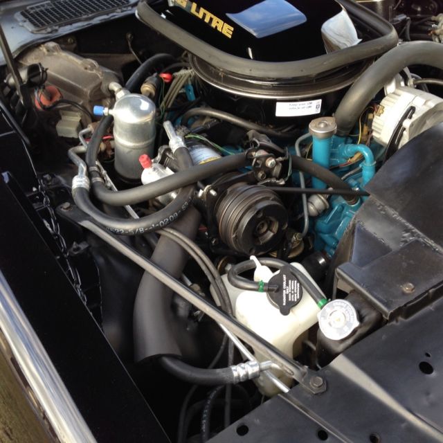 1979 Pontiac Trans Am - photo 10