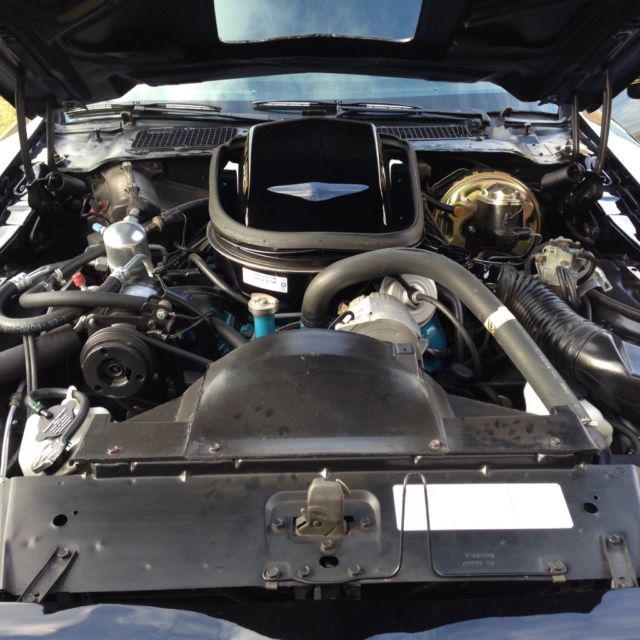 1979 Pontiac Trans Am - photo 11