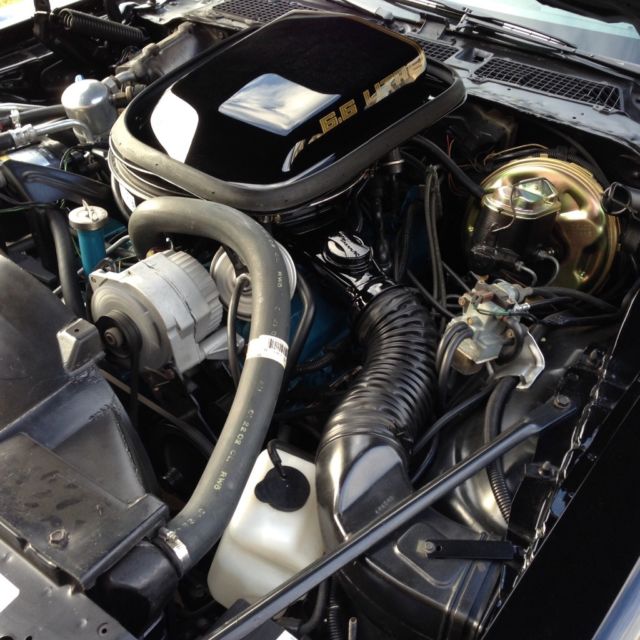 1979 Pontiac Trans Am - photo 9
