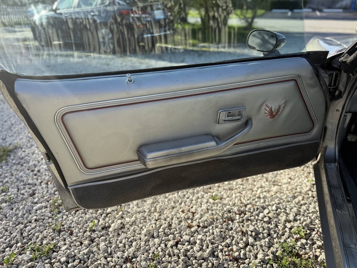 1979 Pontiac Trans Am 10th Silver Anniversary - photo 12