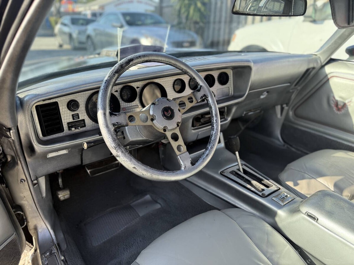 1979 Pontiac Trans Am 10th Silver Anniversary - photo 13