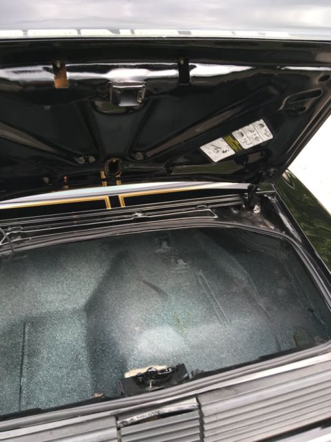 1979 Pontiac Trans Am - photo 11