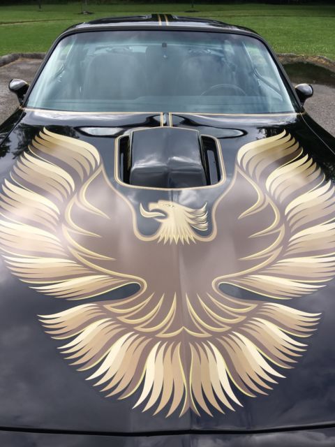 1979 Pontiac Trans Am - photo 13