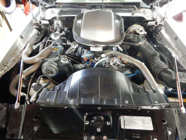 1979 Pontiac Trans Am - photo 4