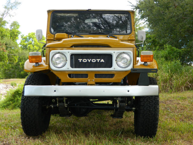 1979 Toyota Land Cruiser - photo 8