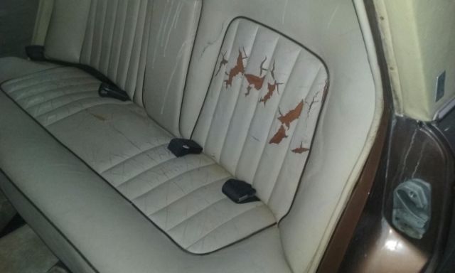 1979 Rolls-Royce Silver Shadow - photo 10