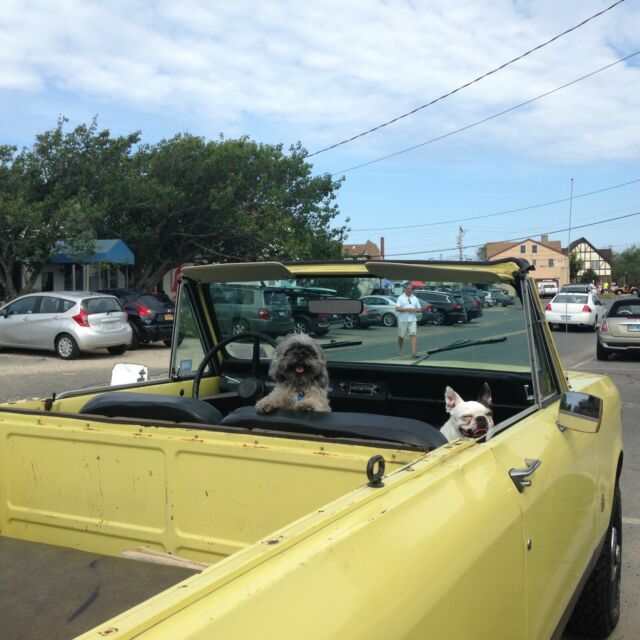 1979 International Harvester Scout - photo 3