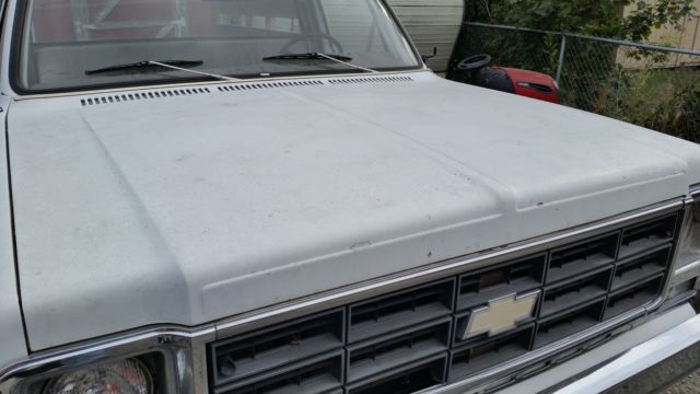 1979 Chevrolet C-10 Custom Deluxe - photo 6