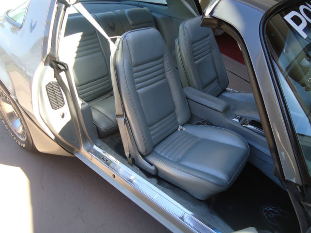 1979 Pontiac Trans Am SILVER ANNIVERSARY - photo 5