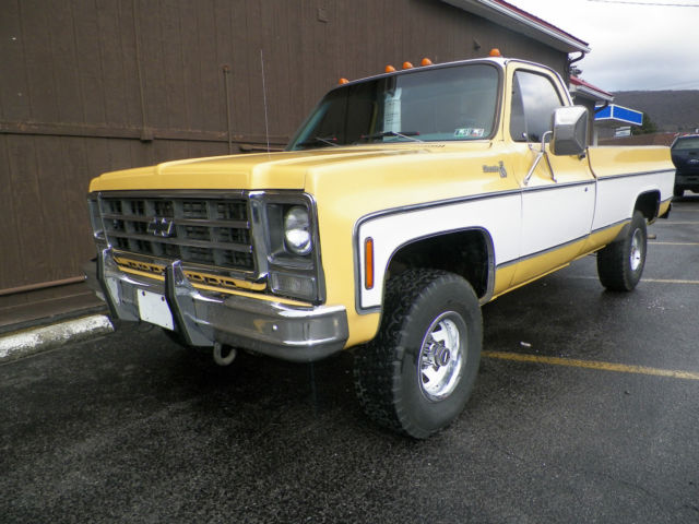 1979 Chevrolet C/K Pickup 1500 - photo 2