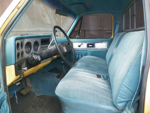 1979 Chevrolet C/K Pickup 1500 - photo 6