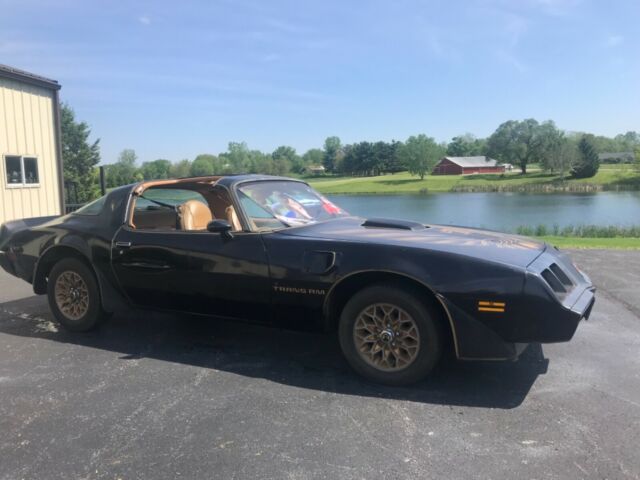 1979 Pontiac Trans Am Limited Edition Bandit
