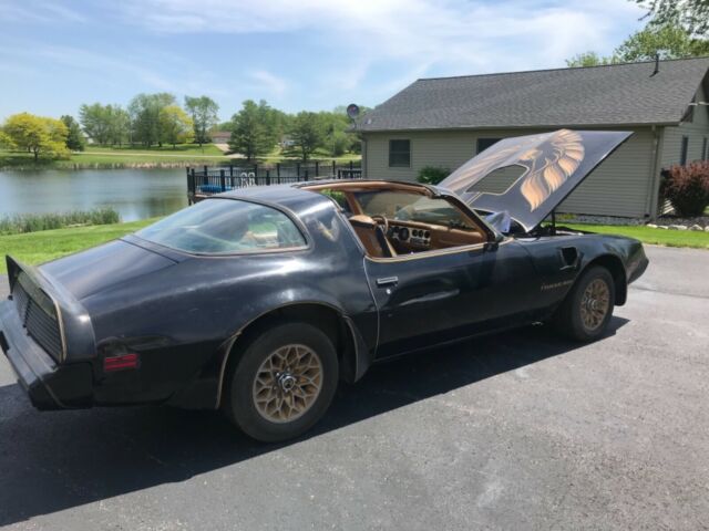1979 Pontiac Trans Am Limited Edition Bandit - photo 13