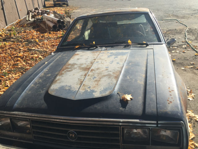 1979 AMC Other