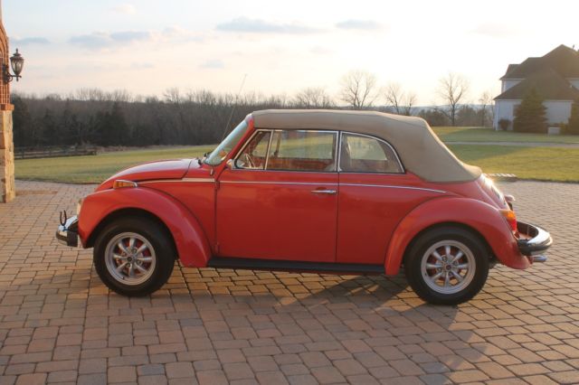 1979 Volkswagen Beetle - Classic - photo 9