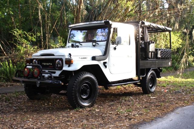 1979 Toyota Land Cruiser Tuanis Build - photo 3