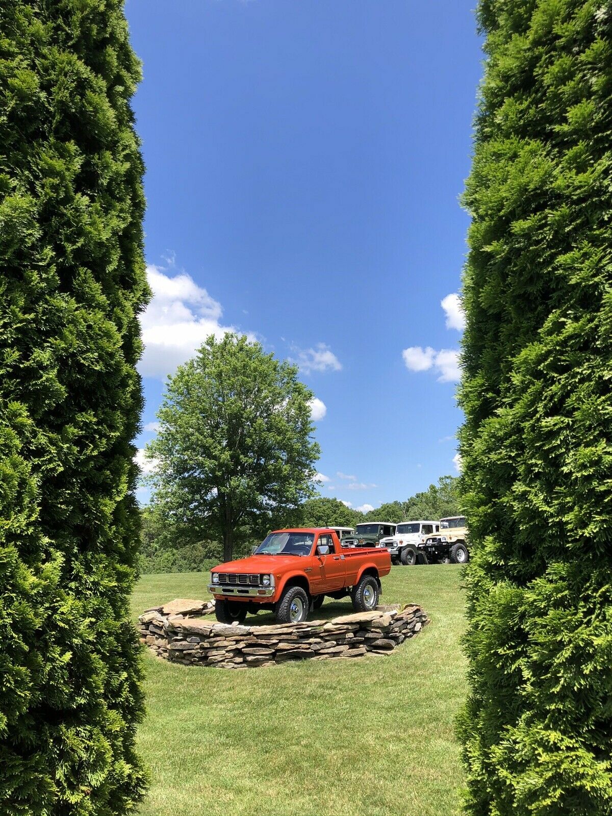 1979 Toyota Pickup Limited Edition - photo 4