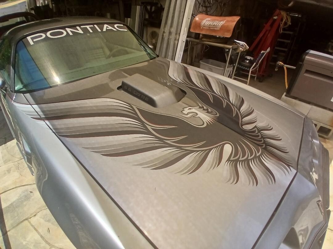 1979 Pontiac Trans Am 10 TH ANNIVERSARY TRANS AM - photo 3