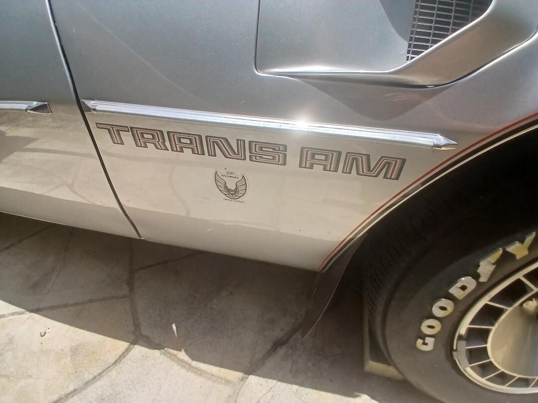 1979 Pontiac Trans Am 10 TH ANNIVERSARY TRANS AM - photo 9