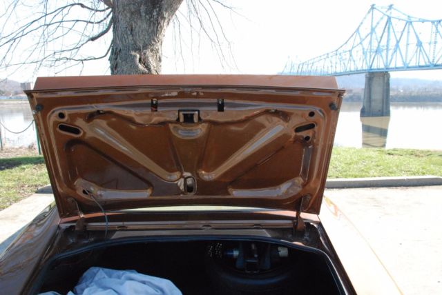 1979 Pontiac Trans Am Firebird - photo 10