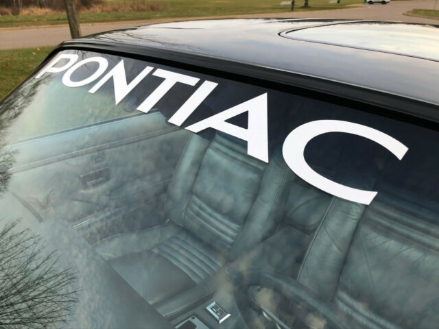 1979 Pontiac Trans Am 10th Anniversary, 6.6 Litre - Auto, 53k miles - photo 8