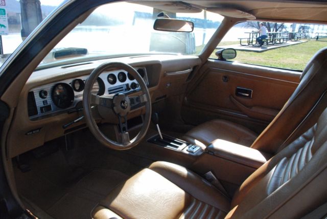 1979 Pontiac Trans Am Firebird - photo 11