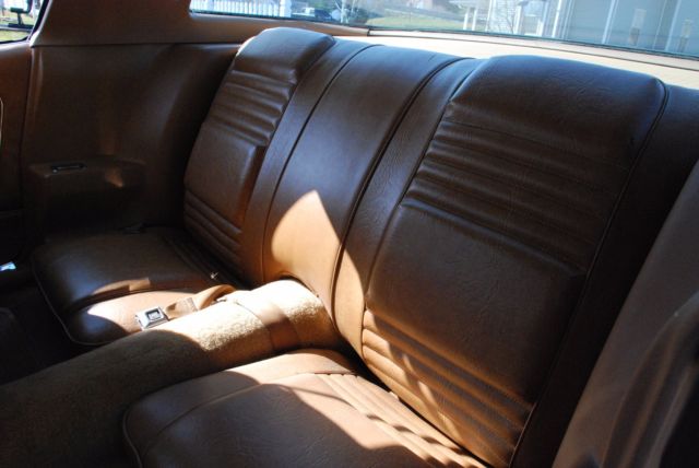 1979 Pontiac Trans Am Firebird - photo 13