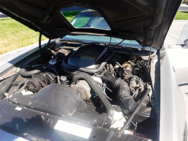 1979 Pontiac Trans Am - photo 5