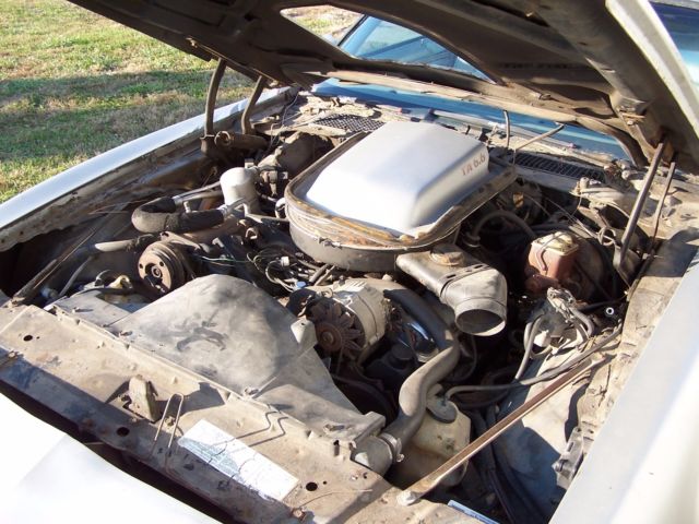 1979 Pontiac Trans Am 10th anniversary - photo 11