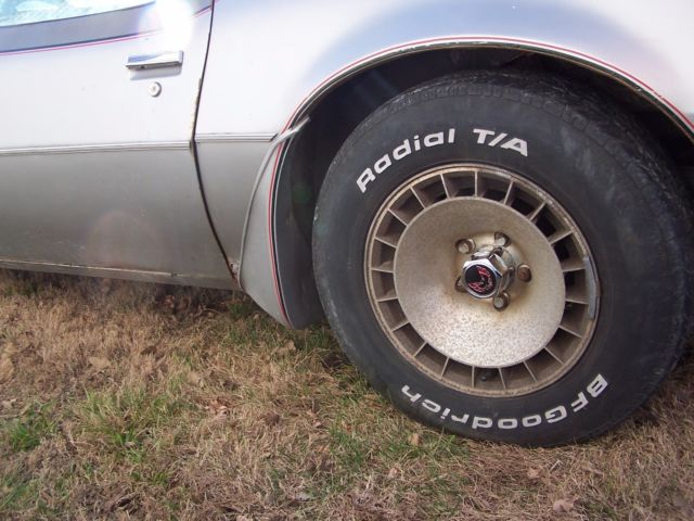 1979 Pontiac Trans Am 10th anniversary - photo 6
