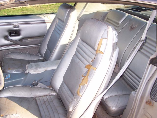 1979 Pontiac Trans Am 10th anniversary - photo 9